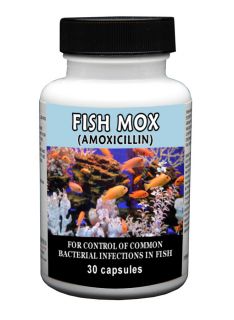 fish mox in Cleaning & Water Treatments