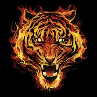 Tiger T Shirt Flaming Tiger Tee Long Sleeve Tigers Wildlife Black 