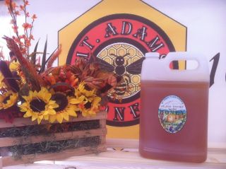 TWO GALLONS Honey Jugs Your Choice: Clover, Snowberry, or Wildflower 