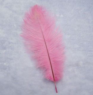 10pcs New Pink Ostrich Feathers 8 10inch 20 25cm Long.