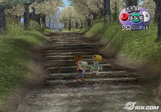 Harvest Moon Another Wonderful Life Nintendo GameCube, 2005