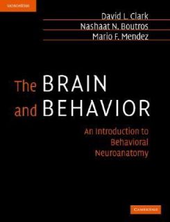 The Brain and Behavior An Introduction to Behavioral Neuroanatomy by 