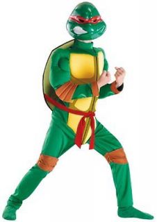 Childs Deluxe Ninja Turtle Raphael Halloween Costume Sm