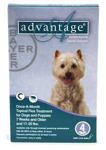 Bayer Advantage Flea Control Teal For Dogs Under 11  20 lb   4 Months