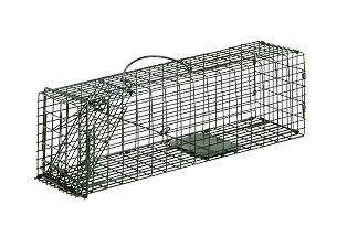 LIVE ANIMAL CAGE TRAP RODENTS SQUIRREL RAT CHIPMUNK NEW
