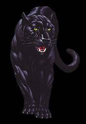 Black Panther T Shirt Tee Hoodie Sweatshirt Tank Top Long Sleeve