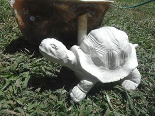 concrete plaster mold made of latex and fiberglass backup the turtle 