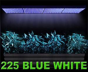   900 LED Grow Light Blue White 4 Panel 52w 4 Aquarium Coral Reef Lamp