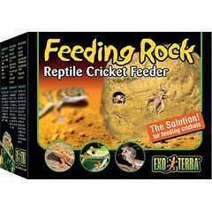 Exo Terra Reptile Terrarium Cricket Feeder PT 2821