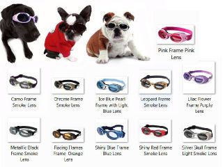 Pet Supplies  Dog Supplies  Apparel  Sunglasses & Goggles