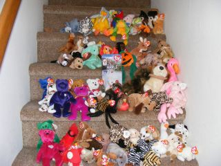 Lot of 103 Ty Beanie Buddies and Beanie Babies