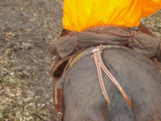 mule saddles in Saddles