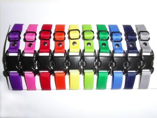 Set of 10 Puppy Whelping ID Collars Dog Breeding Bands for your Kit 