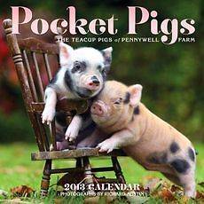 Pocket Pigs 2013 Wall Calendar The Teacup Pigs of Penn