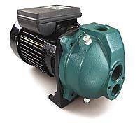 Water Ace 1/2 HP Cast Iron Shallow Well Jet Pump for Shallow Wells to 