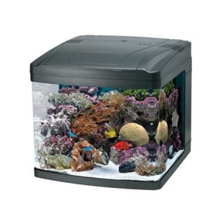   BioCube 29 Gallon Saltwater/ Freshwater Aquarium w/ Hood & Lunar Leds