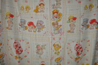 STRAWBERRY SHORTCAKE vintage Flannel BED SHEET Fabric 1980s  