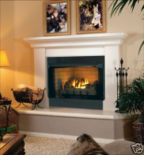 Vent Free Gas Fireplaces Logs Insert Ventless Gas Fireplaces Logs