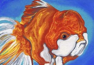 ACEO Oranda Gold Fish Pet Art Original Painting Carla Smale BobbysBe 