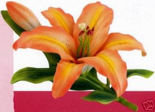 ANDREA BY SADEK LARGE TIGER LILY FLOWER BEAUTIFUL