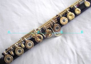 colored flutes in Flute
