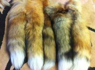   FUR TAIL, CHARMING FURS, FOX FLY TYING, TAXIDERMY FURS 16 17inches