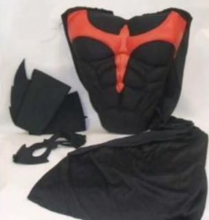   NIGHTWING SET Molded Muscle Chest Piece w/ Cape Mask & 2 Gauntlets