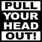 Funny Vinyl Sticker Pull Your Head Out Decal For Car Truck Boat 