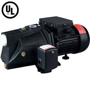 Shallow Well Jet Pump (1/2, 3/4 or 1 HP) w/ Pressure Switch, Dual 