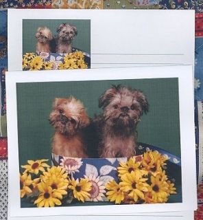 BRUSSELS GRIFFON PUPS Stationery #0961