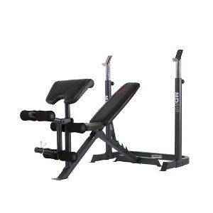   Gym Home Bench Gym Lifting Exercise Weight Training Work Out New