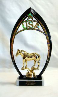 HORSE USA BLACK FRAME HORSE TROPHY HORSE SHOW AWARD