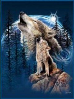 New Signature Collection Queen Size Harmony of Wolves Mink Blanket79 