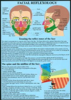 Facial Reflexology by Jan Van Baarle (Poster, 2010)