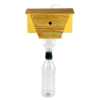 Carpenter Bee Trap  Bee and Pest Control  1 trap