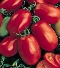 30 Violet Jasper Heirloom Tomato seeds. ***SAME DAY SHIPPING***