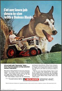 1971 SIBERIAN HUSKY~Bolens Lawn Tractor AD