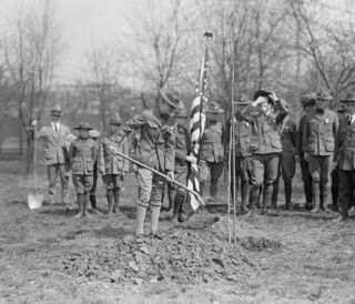 1924 photo Boy Scouts plant tree Vintage Black & White Photograph d9