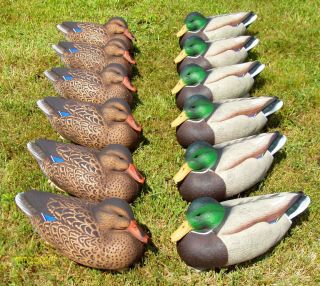 duck hunting gear in Decoys
