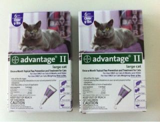 Advantage II Flea Control 6 Packs for Large Cats over 9 lbs