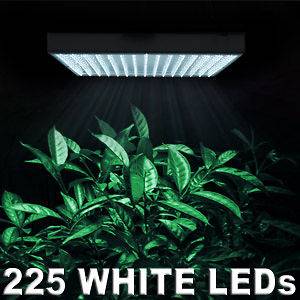 225 LED Grow Light Panel All White 13w Hydroponic Plant Aquarium Coral 