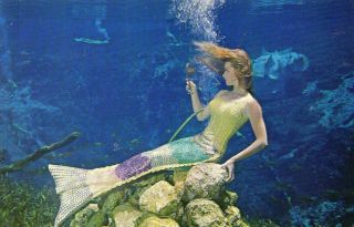 Pretty Underwater Mermaid at rest Weeki Wachee, Florida