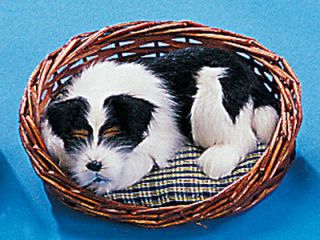 Mini Jack Russell Dog Puppy Sleeping Figurine New WYT