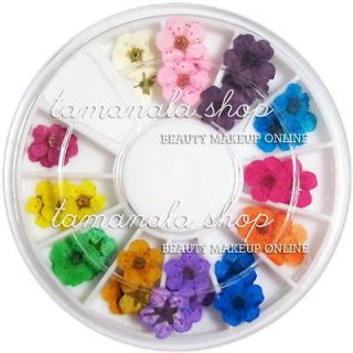 dried flowers in Nail Care & Polish