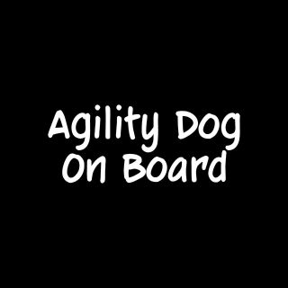 dog agility course in Agility Training
