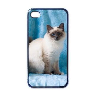   CAT KITTEN PHOTO PICTURE COVER CASE FOR APPLE IPHONE 4 CELL PHONE