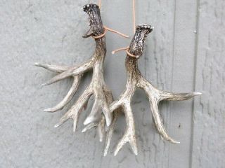 MULE DEER ANTLERS SHEDS MINIATURE NON TYPICAL WHITETAIL NEAT 
