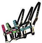   Nylon Horse Halter with Padded Nose PINK, LIME, or TEAL   Horse Tack