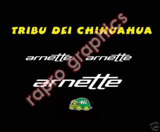 Valentino Rossi ARNETTE Helmet and Visor Decals/Sticker