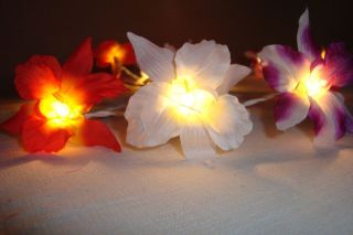 20 ORCHID FLOWERS FAIRY STRING LIGHTS 3M PARTY/DECORATION/WEDDING   3 